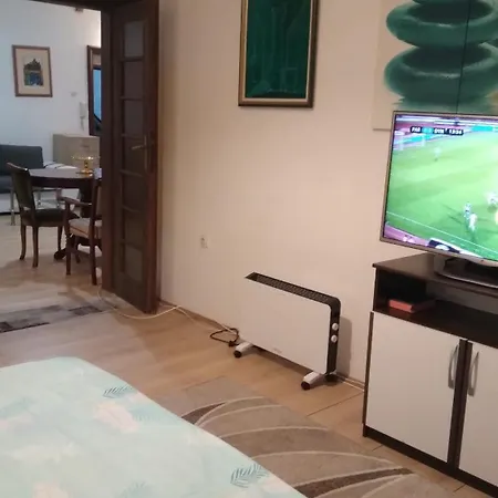 Apartment Centar Sava